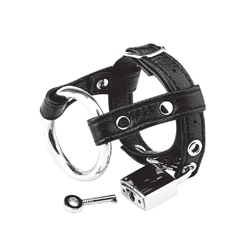 Duo Cock & Ball Ring with Lock